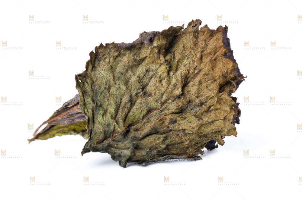白底上的紫苏叶干