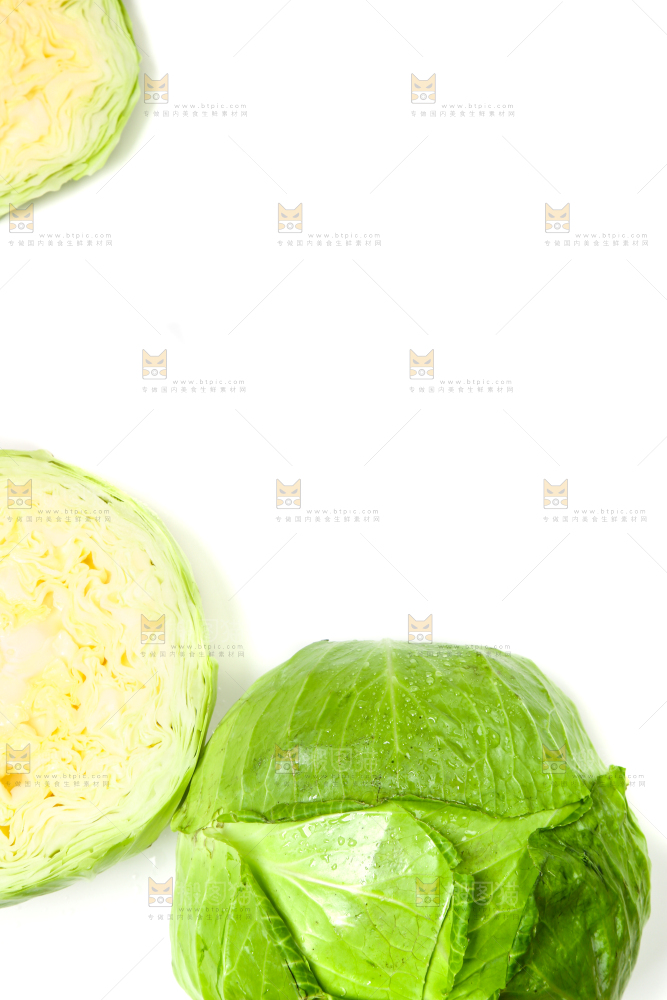 白底上的新鲜卷心菜