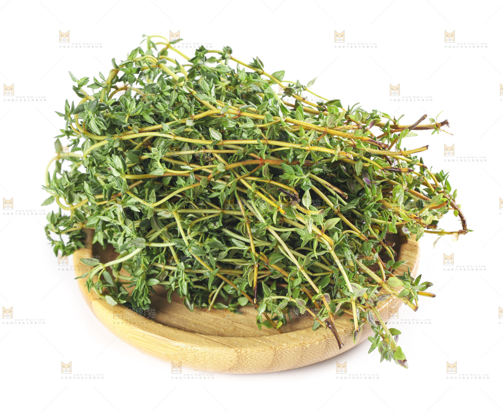 一盘麝香草放在白底上