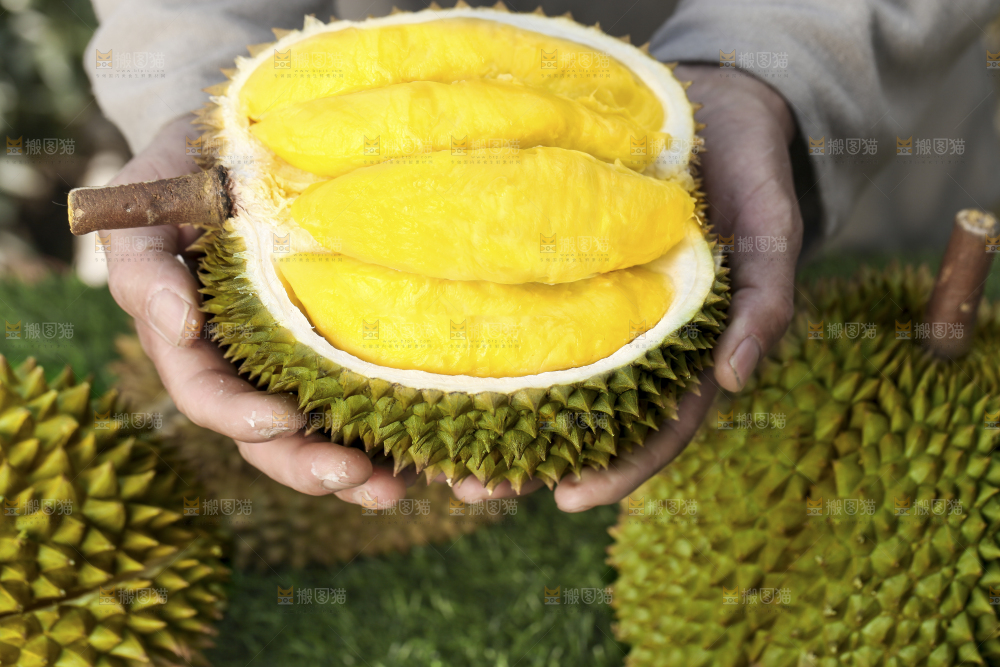 手里拿着新鲜榴莲