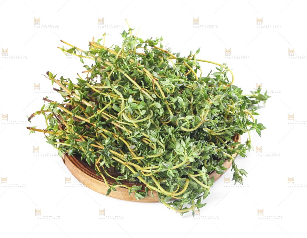 一盘麝香草放在白底上