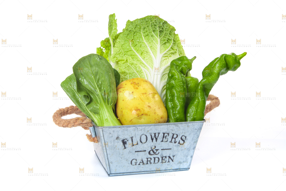 白底上的蔬菜混合