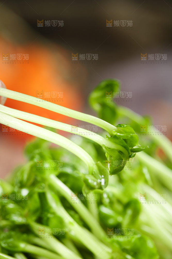 篮子里的豌豆芽苗菜