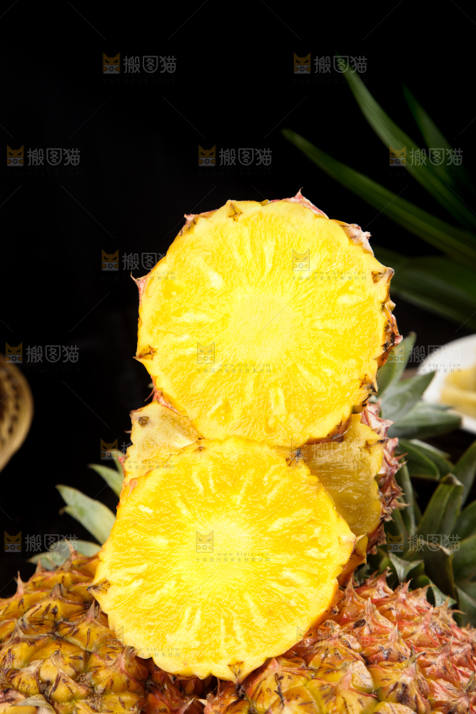 金钻凤梨