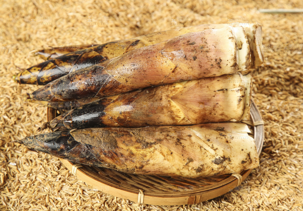 一盘春笋放在浅底上