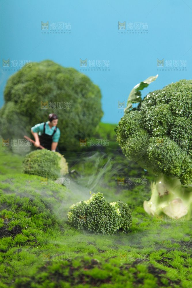 西兰花背景纹理