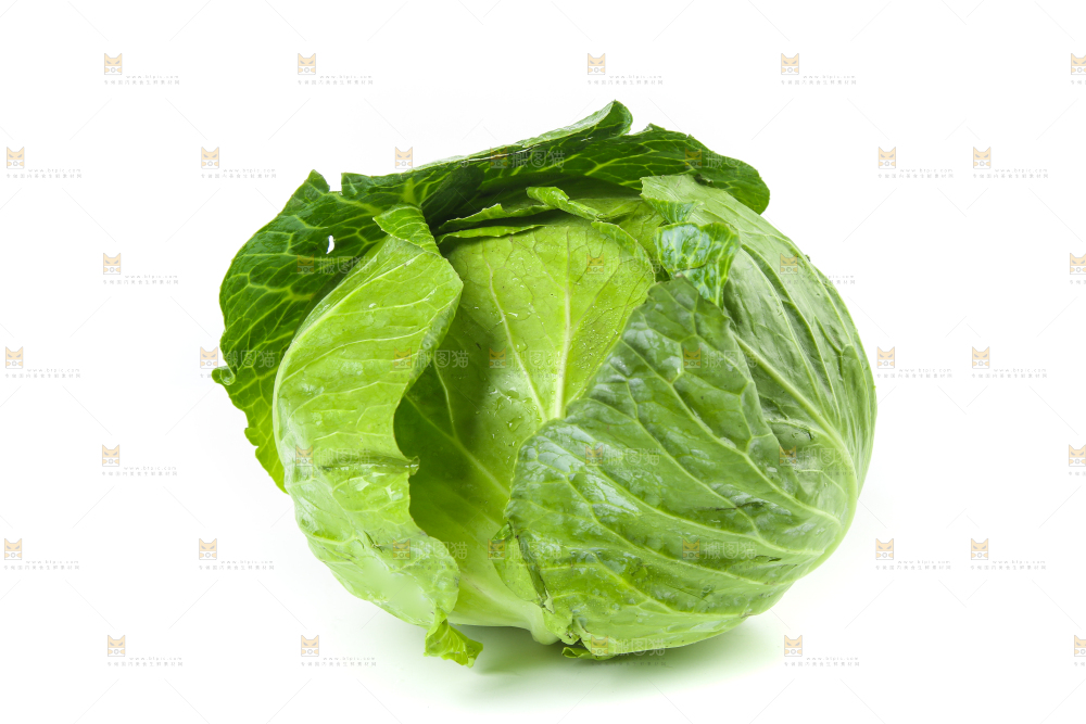 白底上的新鲜包菜