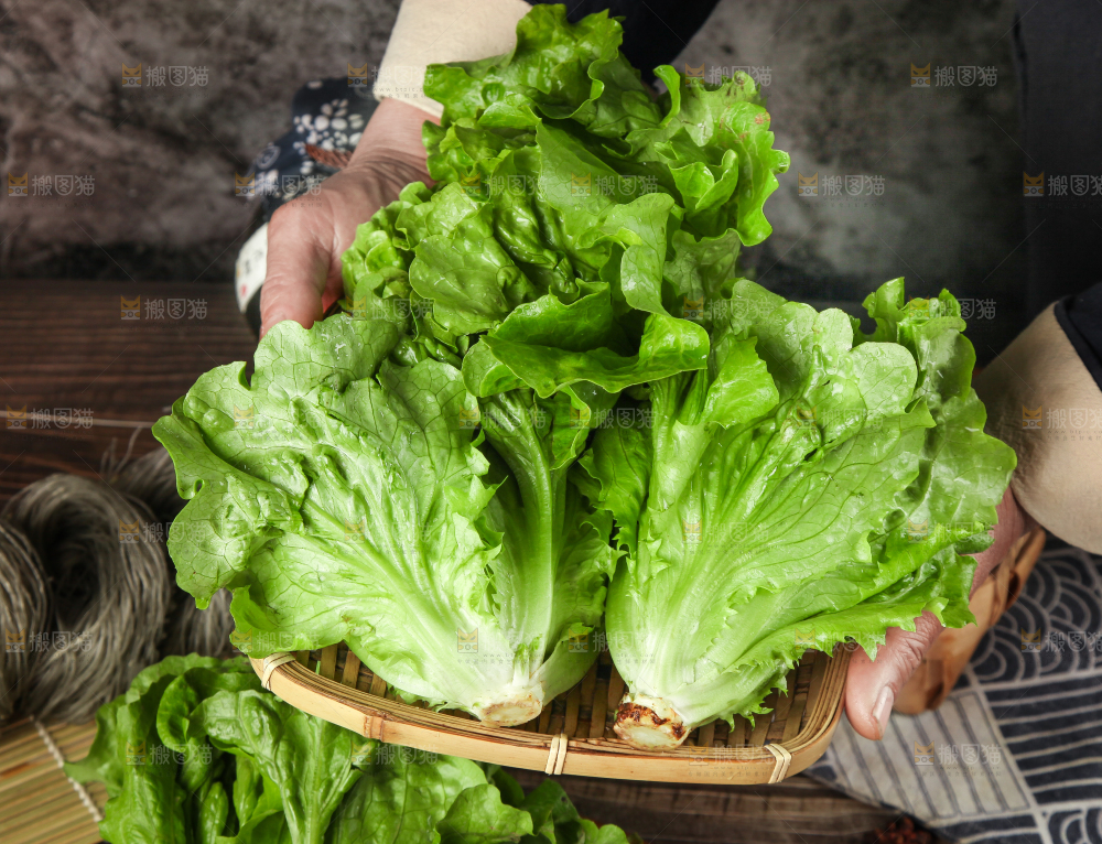 手拿一筐新鲜生菜