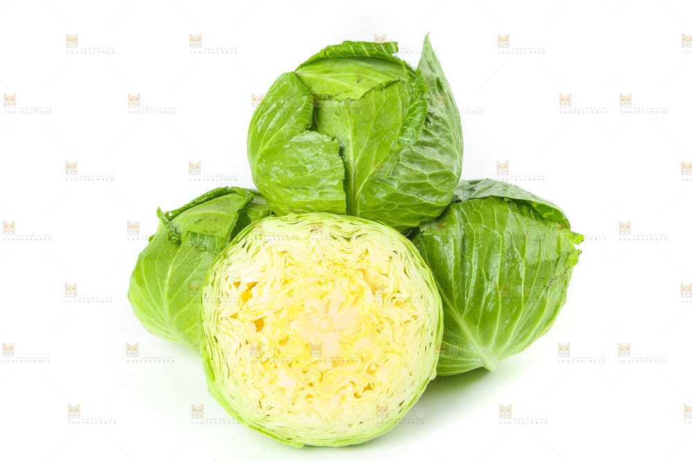 切开的卷心菜放在白底上