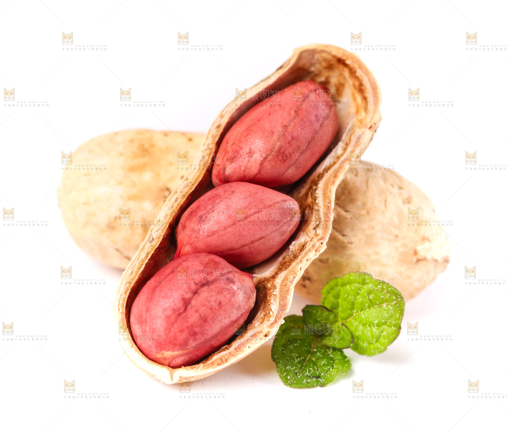 东北红皮花生放在白底上