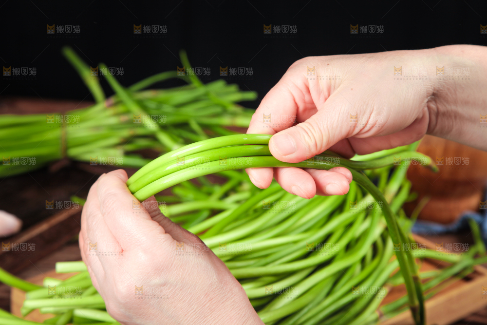 手拿新鲜蒜苔