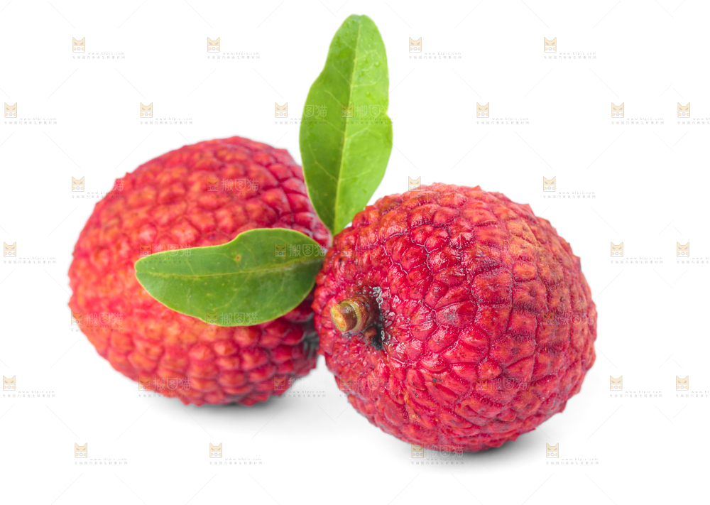 白底上的桂味荔枝