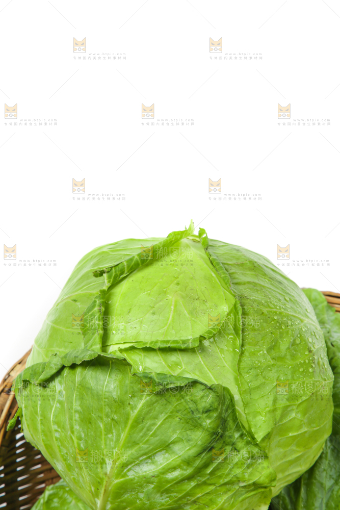 白底上放着一筐陕西卷心菜