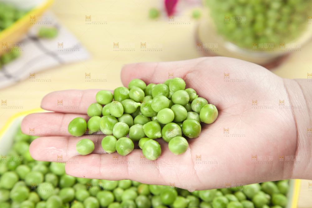 手里捧着青豌豆