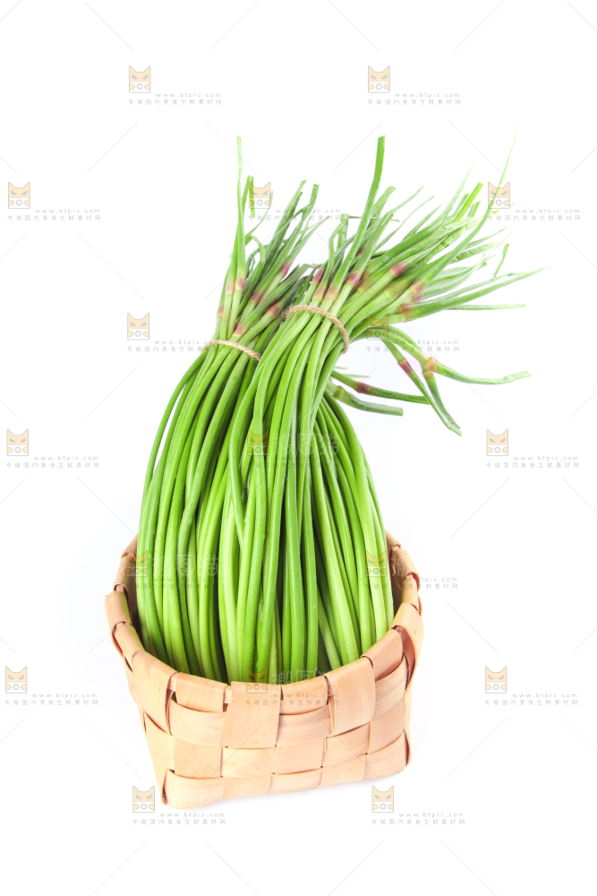 一筐蒜苔放在白底上