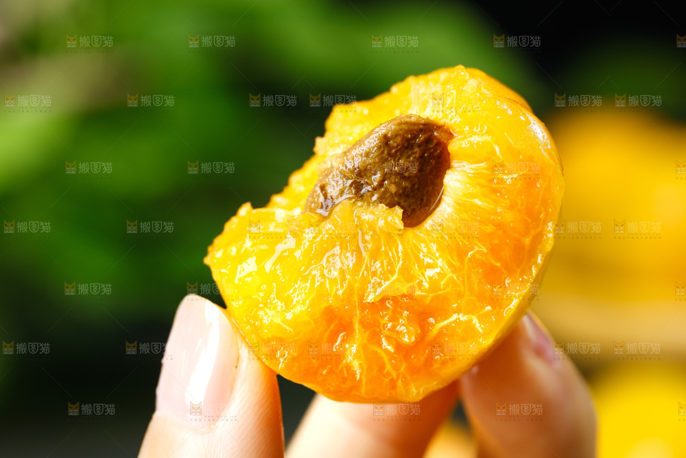 手拿掰开的大黄杏