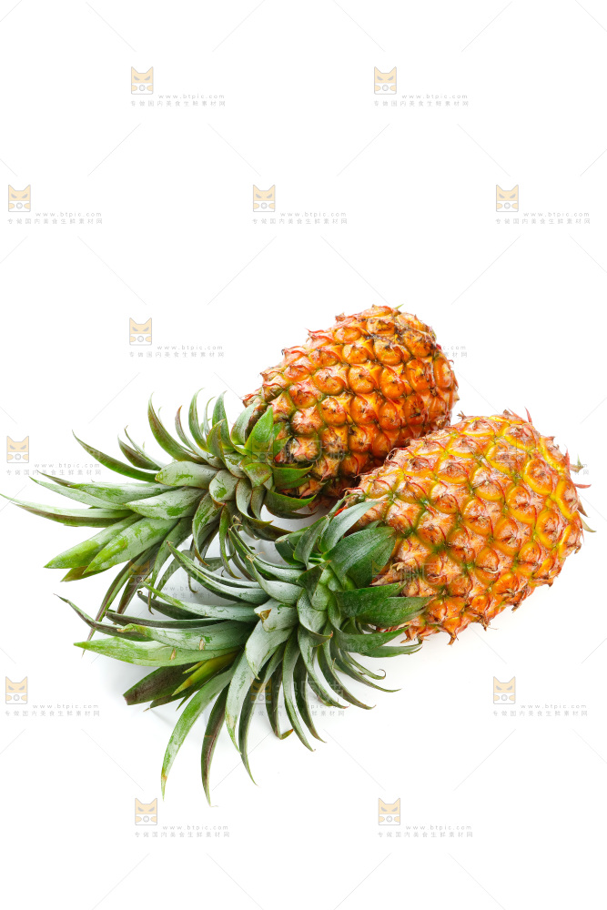 白底上的海南金钻凤梨