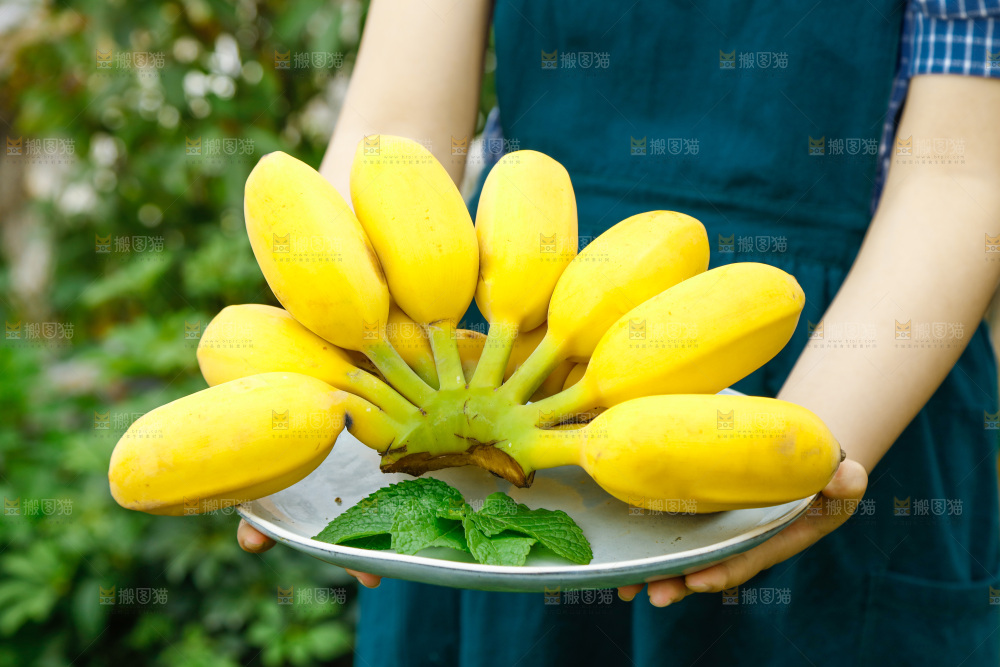 手端一盘苹果粉蕉