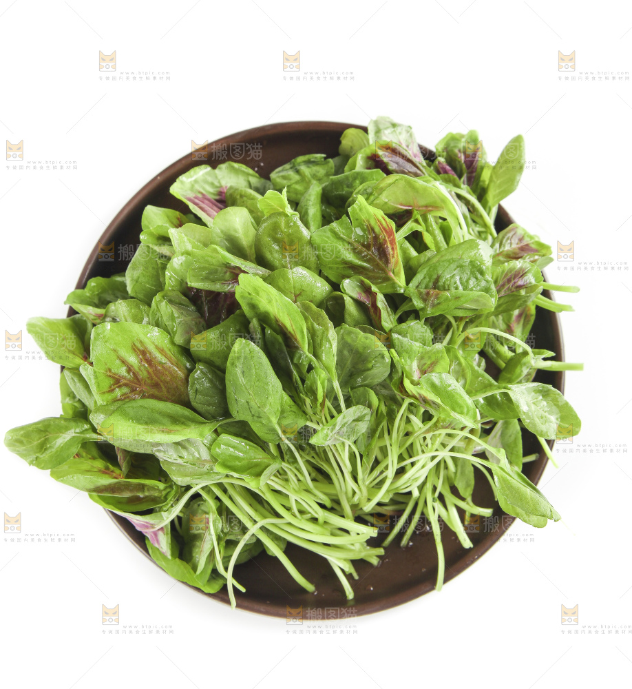 白底上放着一盘红苋菜