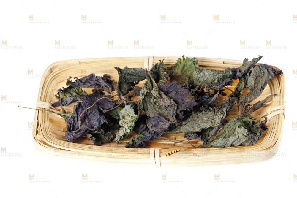一筐干紫苏叶放在白底上