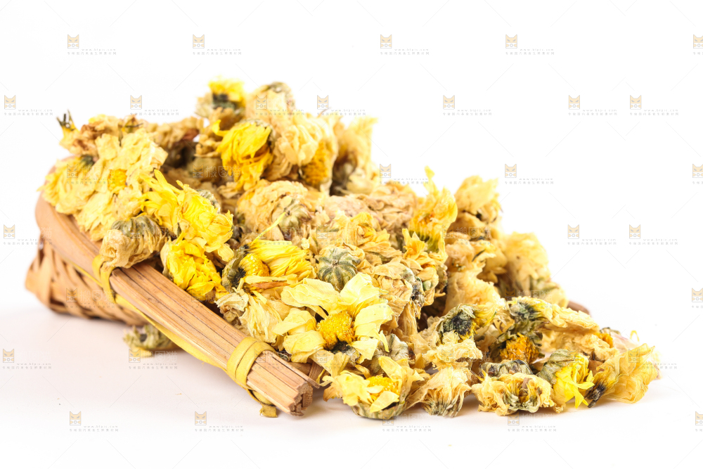 白底上的干菊花