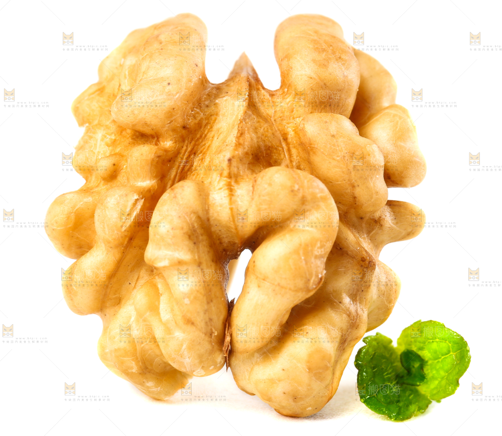 白底上的核桃仁