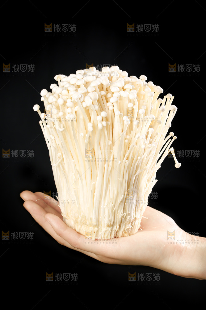 手拿金针菇