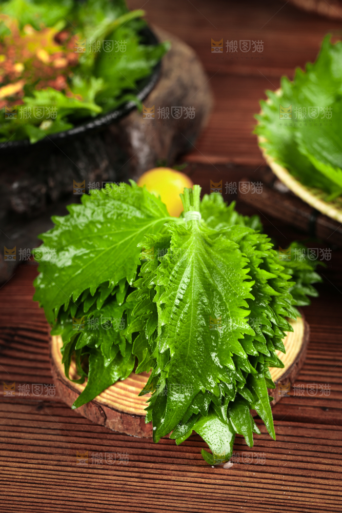 木板上的青紫苏叶