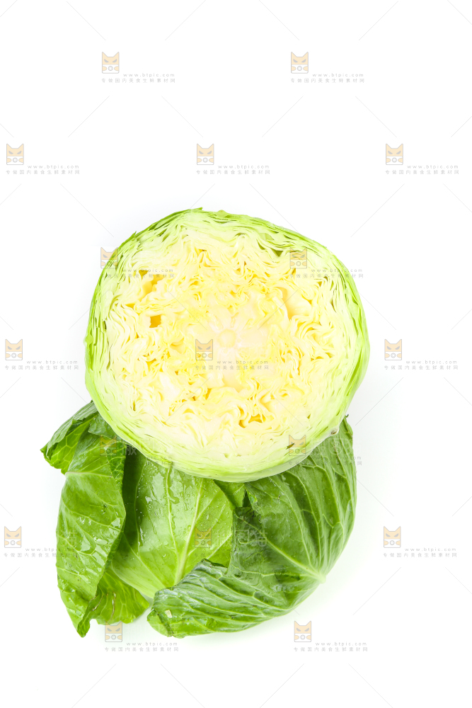 切开的包菜放在白底上