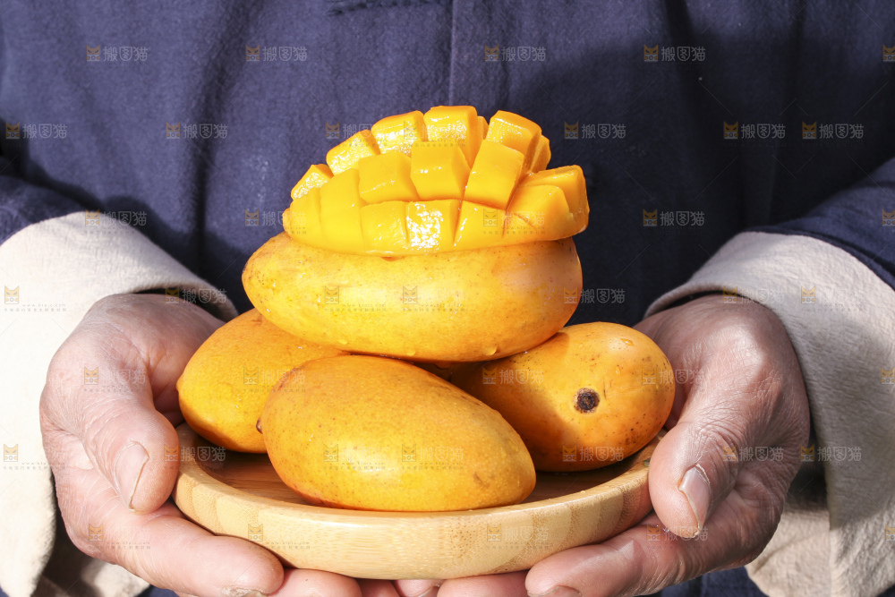 手拿一盘小台芒