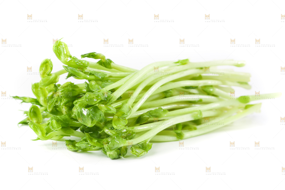 白底上放着豌豆芽菜