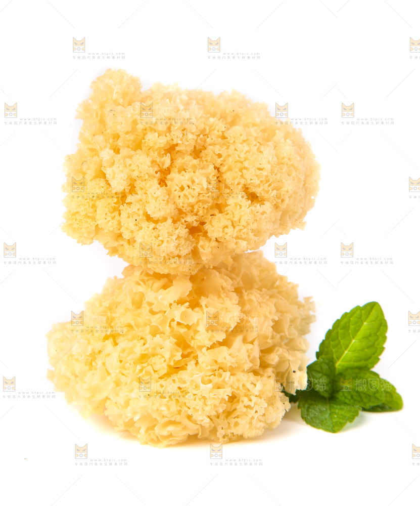 白底上的雪银耳