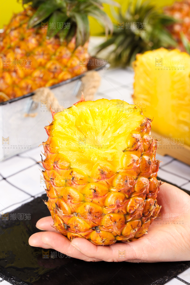 金钻凤梨