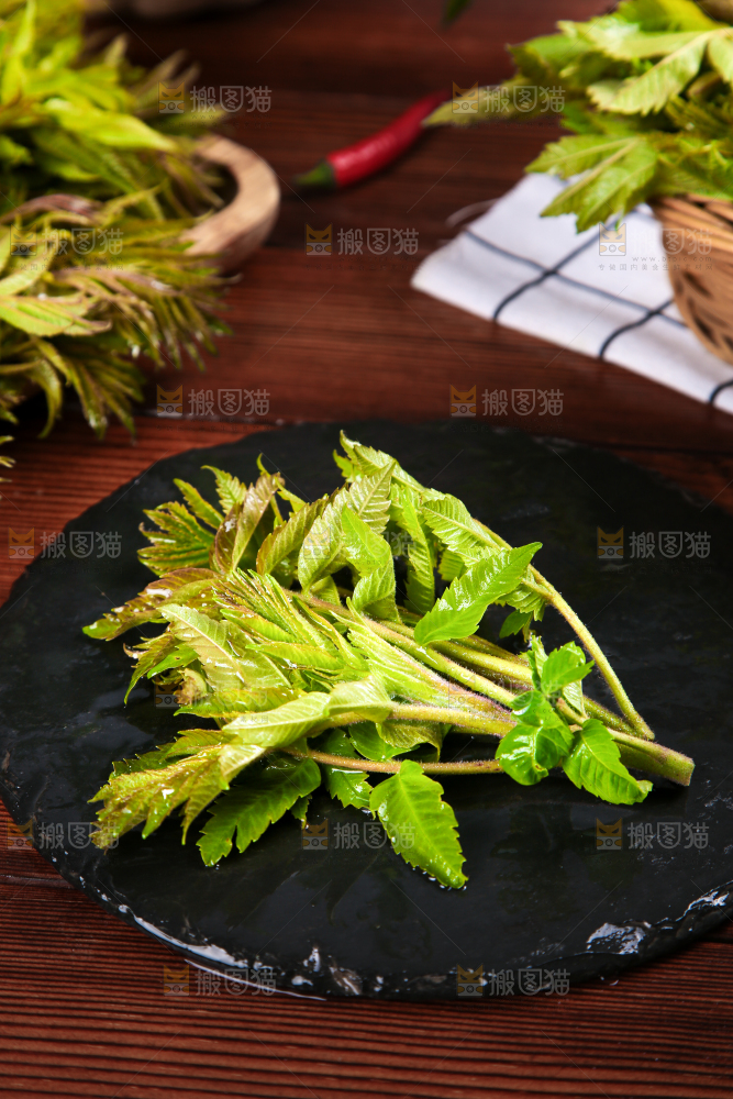 黑石板上的山东香椿芽
