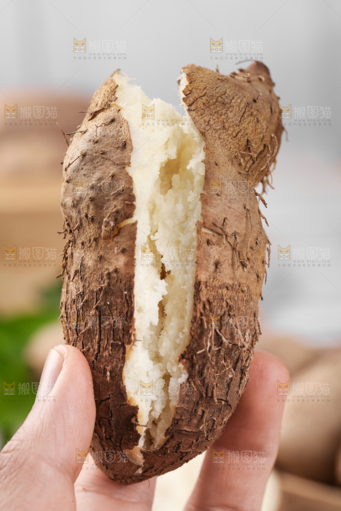 手拿蒸熟的毛薯