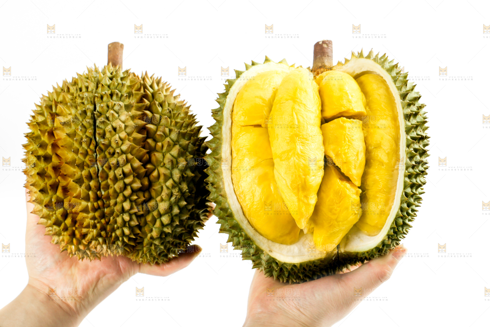 白底上摆放着甲仑榴莲