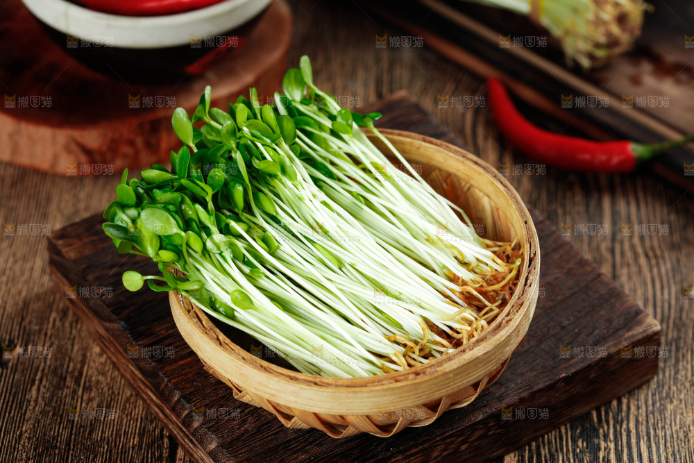 木底上放着新鲜的香椿芽苗