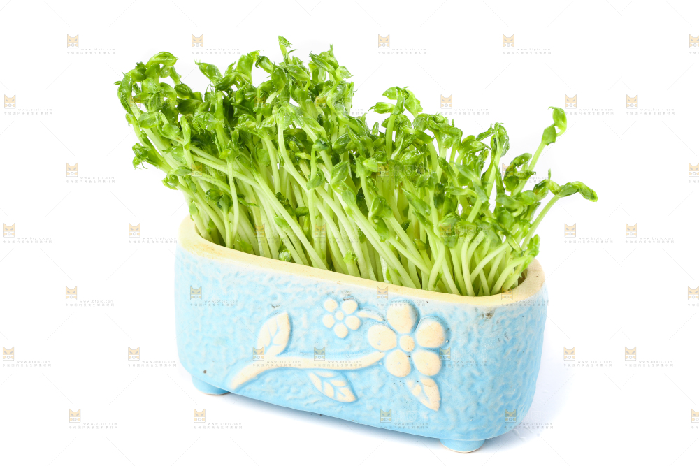 白底上放着豌豆芽菜