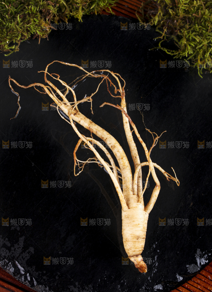 黑石板上的鲜参