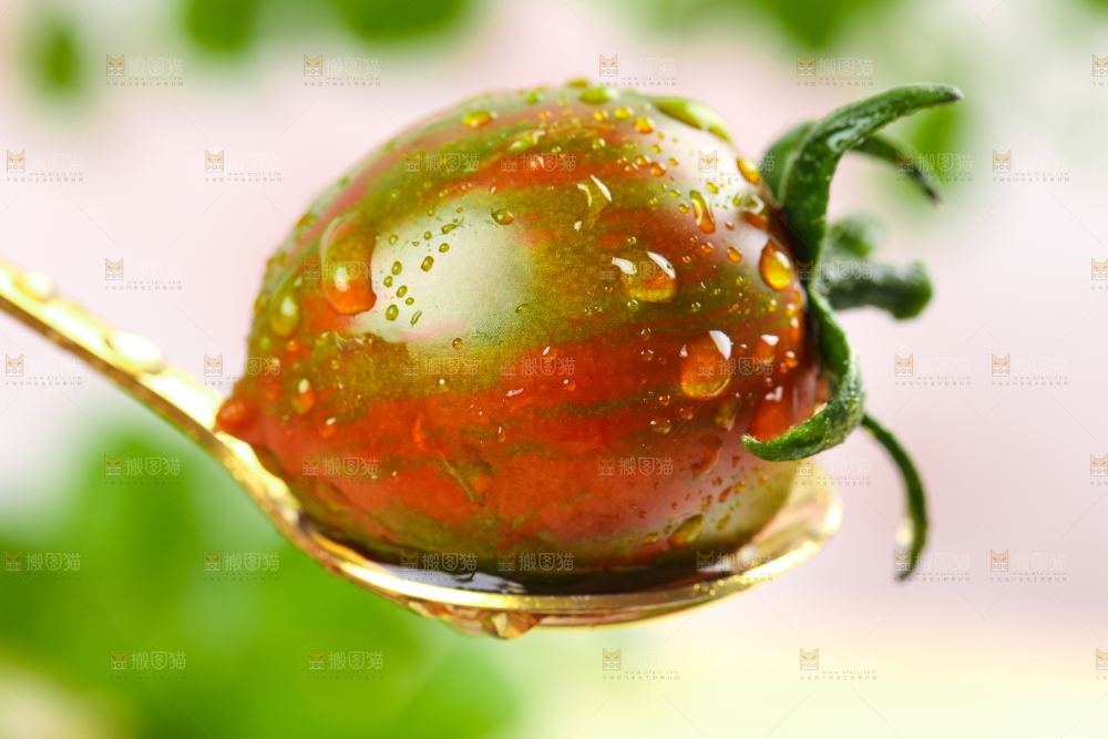 勺子里的迷彩小番茄