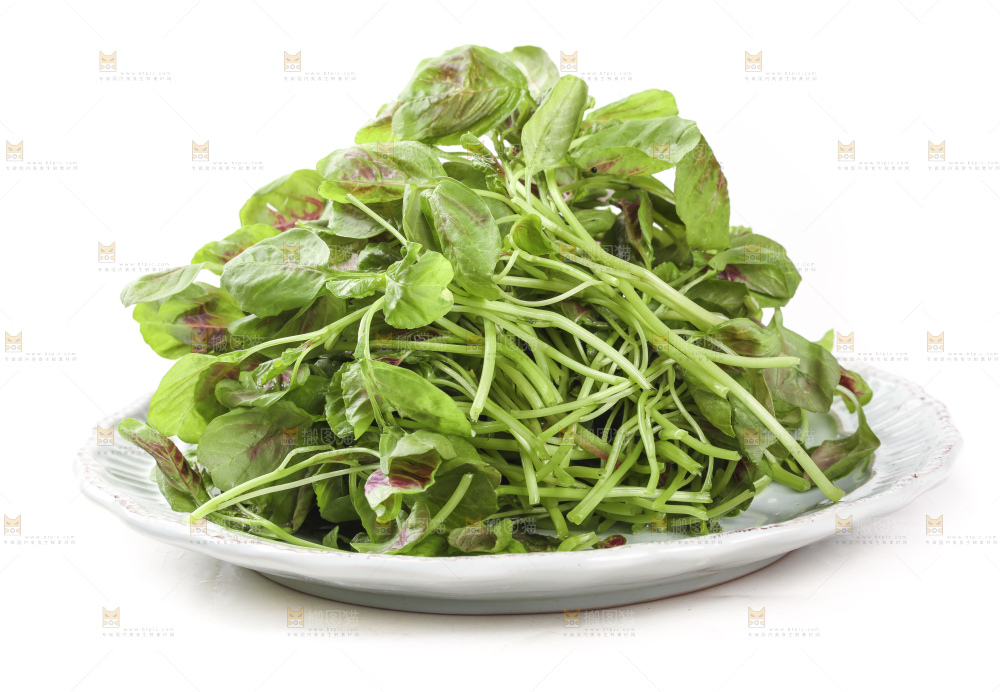 白底上放着一盘新鲜的红苋菜
