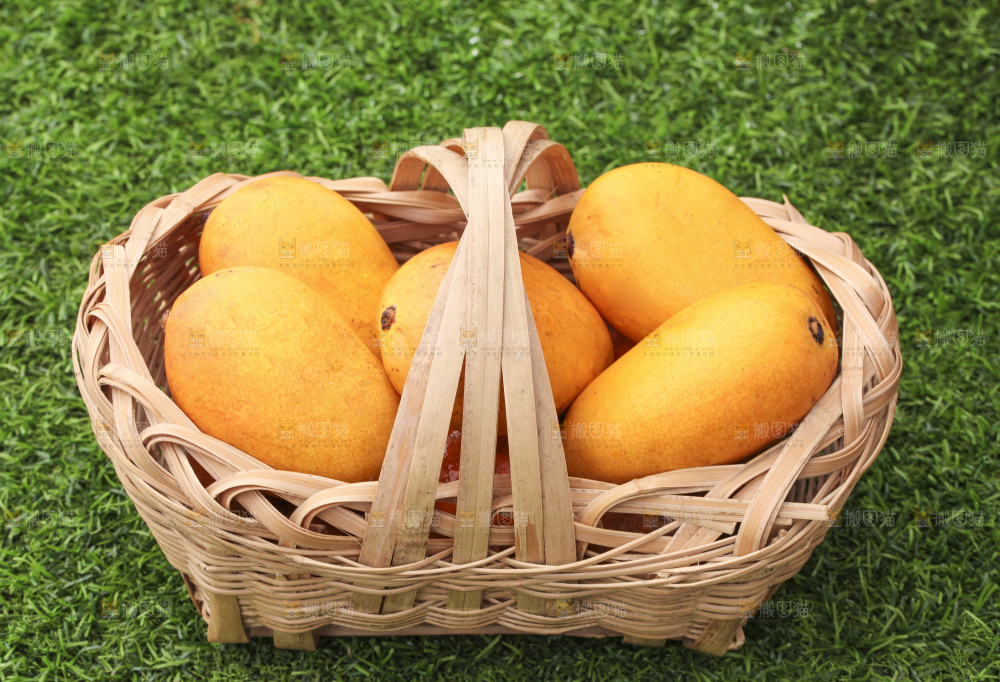 草地上放着一篮小台芒