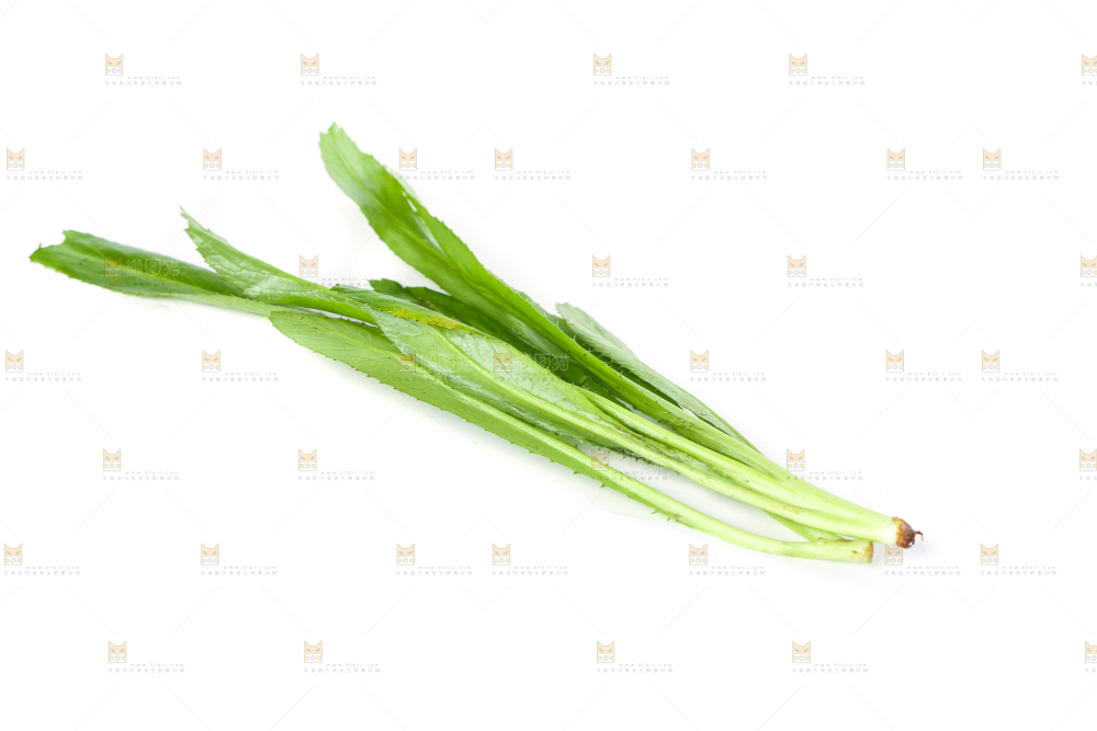白底上的大香菜