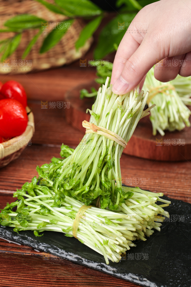 手里拿着新鲜豌豆苗