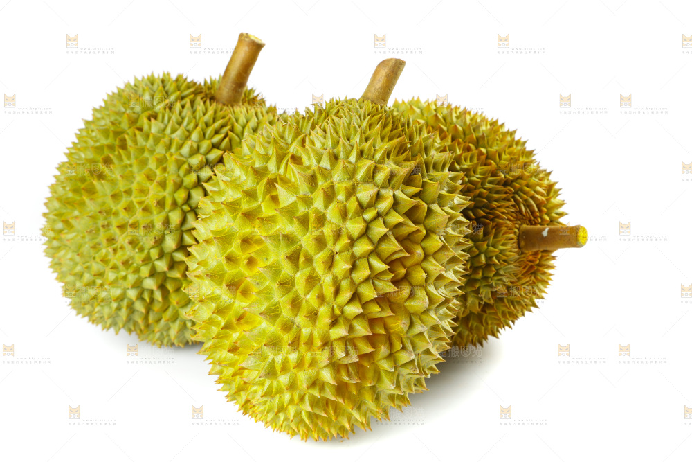 白底上的新鲜榴莲
