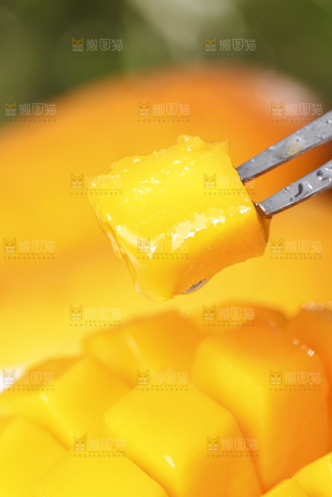 手拿剥皮的台农芒果