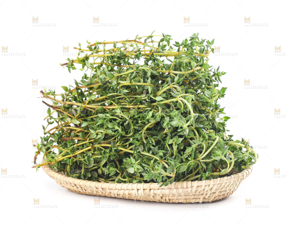 一盘麝香草放在白底上