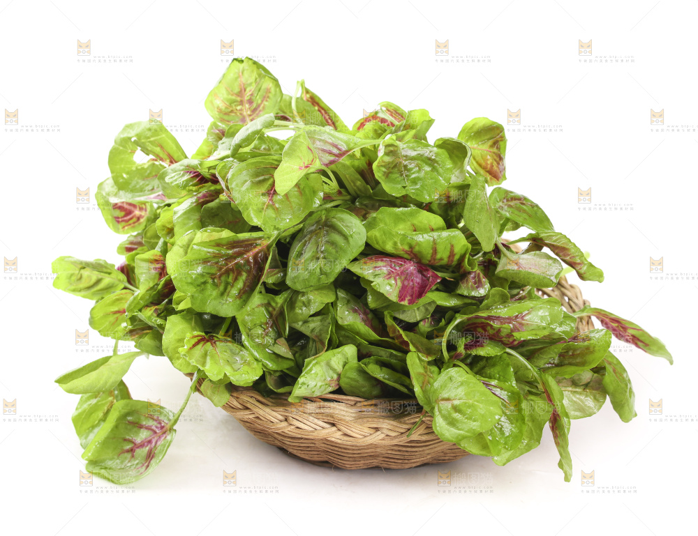 一筐红苋菜放在白底上