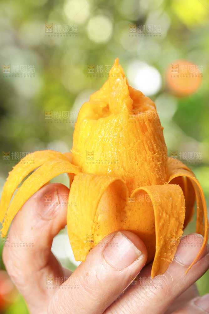 手拿剥皮的海南小台农芒果