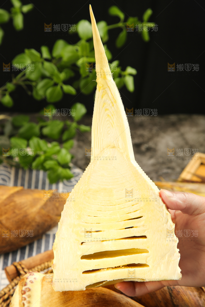手拿切开的竹笋